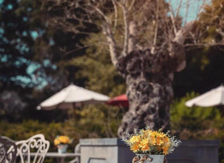 Отель The Stanneylands