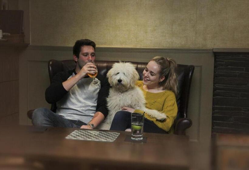 فندق The Tontine