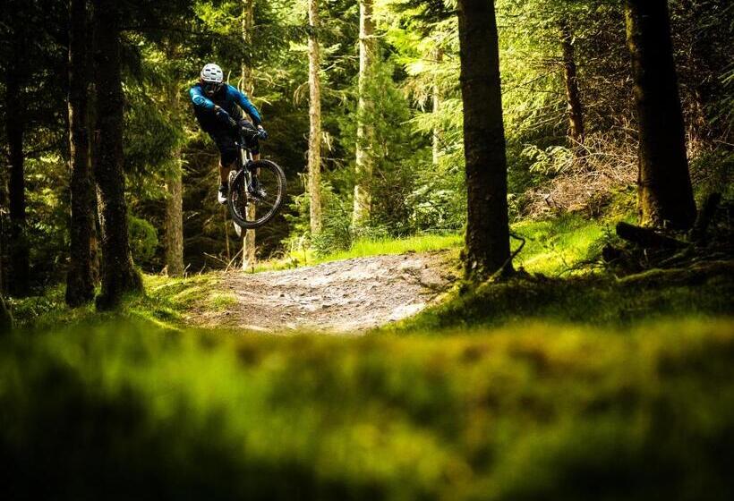 فندق The Tontine