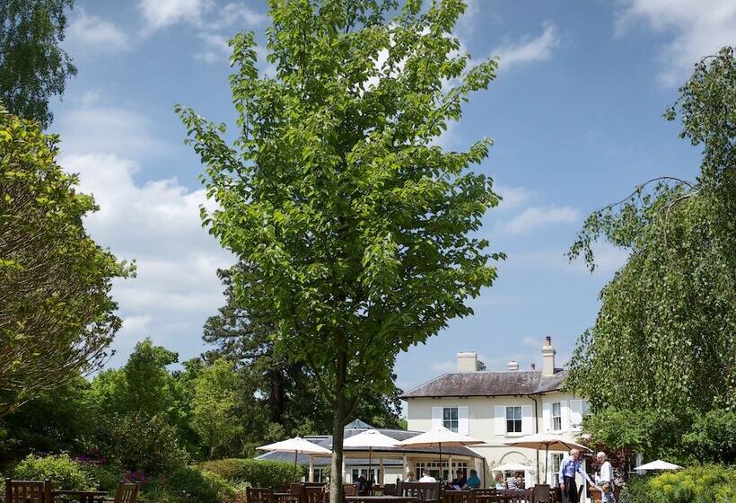 The Vineyard Hotel & Spa