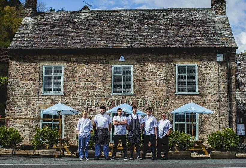 호텔 The Wild Hare