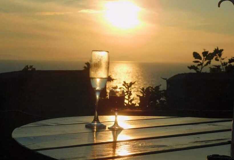 ホテル Tyr Graig Castle