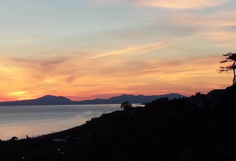 ホテル Tyr Graig Castle