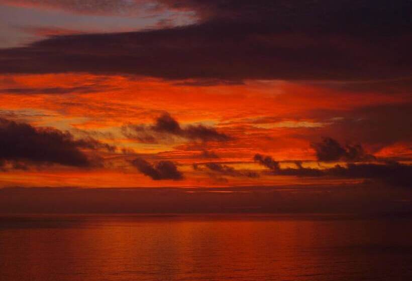 ホテル Tyr Graig Castle