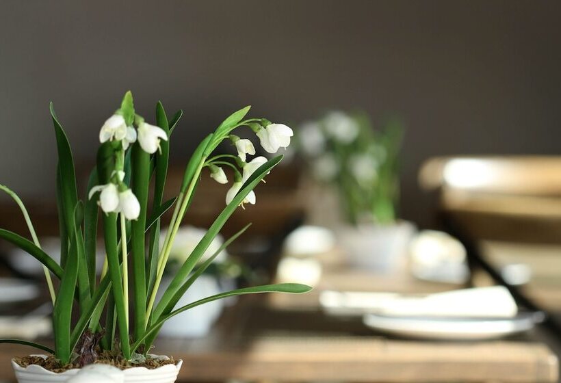 فندق West Highland