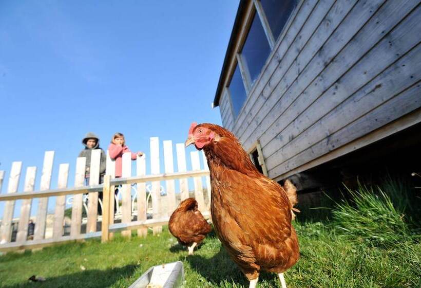 호텔 Woolley Grange   A Luxury Family