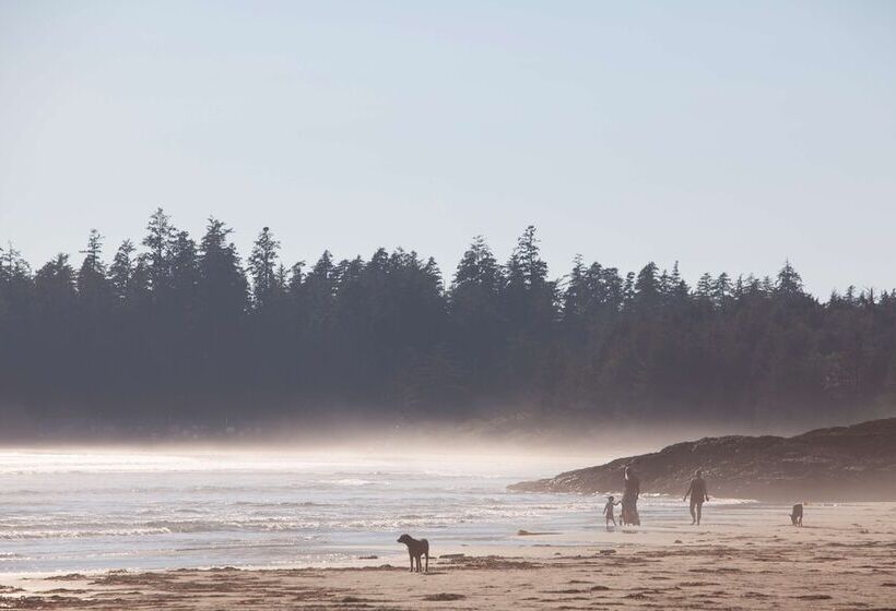 Best Western Plus Tin Wis Resort