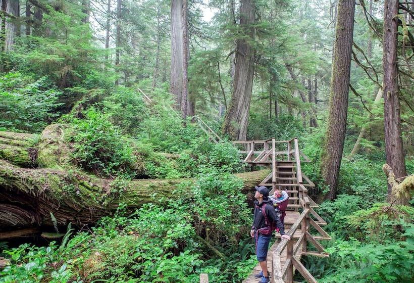 Best Western Plus Tin Wis Resort