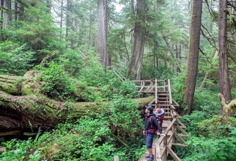 Best Western Plus Tin Wis Resort