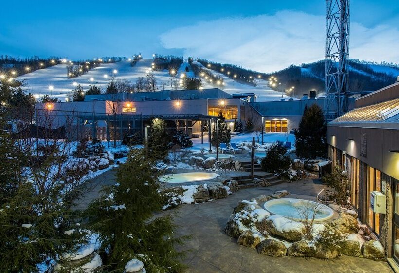 Blue Mountain Resort Village Suites