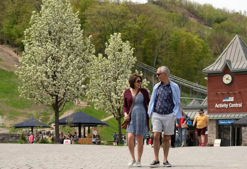 Blue Mountain Resort Village Suites