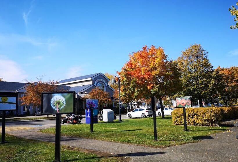 בית מלון כפרי Auberge Des 21