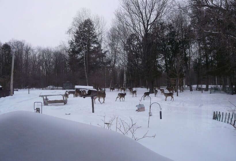 ホテル Auberge Des Gallant