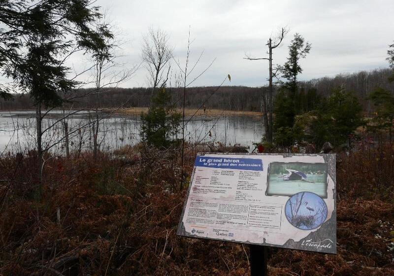 ホテル Auberge Des Gallant