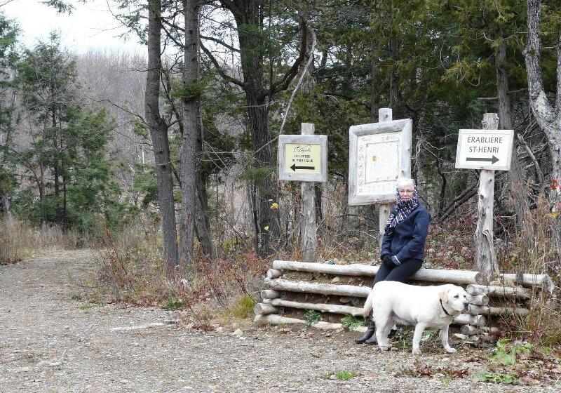 ホテル Auberge Des Gallant