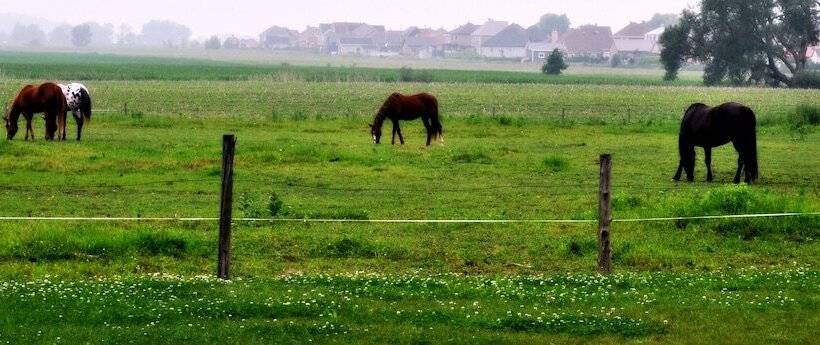 Отель Auberge Handfield Et Spa