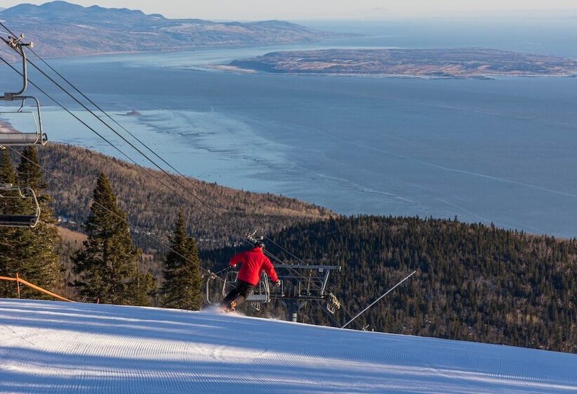 ホテル Auberge La Camarine