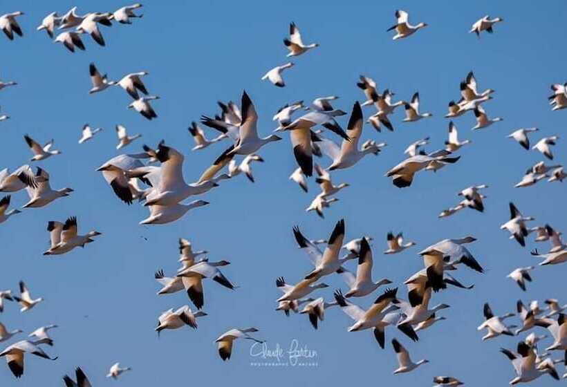 ホテル Auberge La Camarine