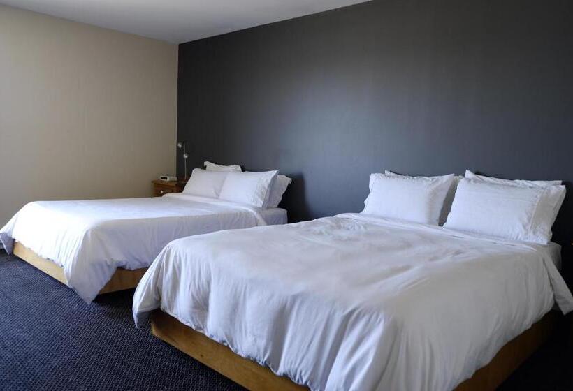 ホテル Auberge La Camarine