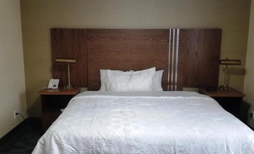 ホテル Baymont By Wyndham Montreal Airport