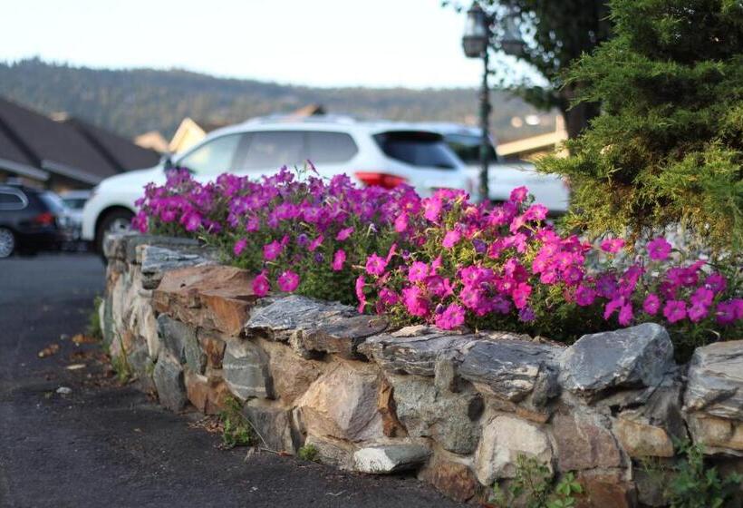 فندق Best Budget Inn & Suites Kamloops