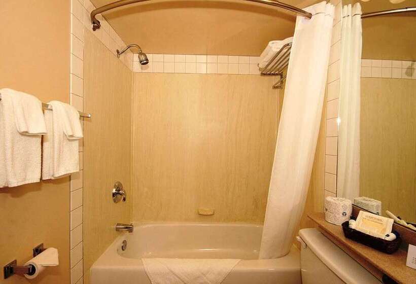 בית מלון כפרי Days Inn By Wyndham Airdrie