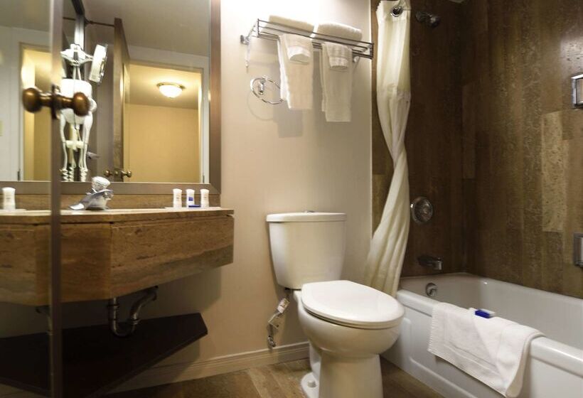 هتل Best Western Downtown Sudbury