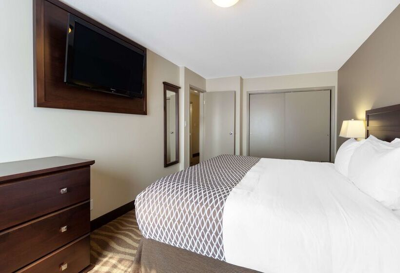 בית מלון כפרי Best Western High Road Inn