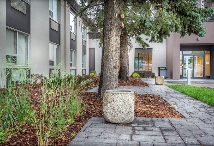 בית מלון כפרי Best Western Premier Denham Inn & Suites