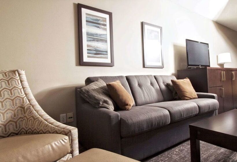 فندق Best Western Swan Castle Inn