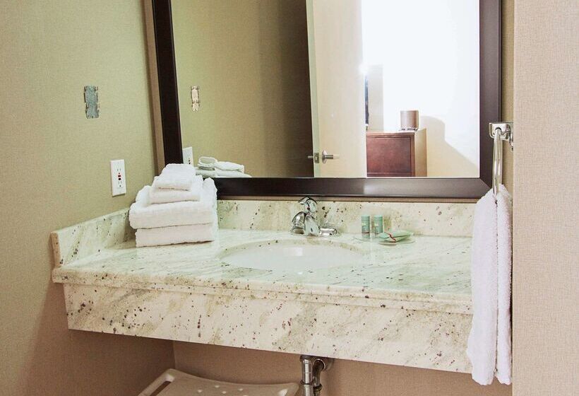 فندق Best Western Swan Castle Inn