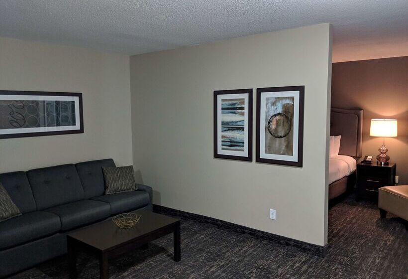 فندق Best Western Swan Castle Inn