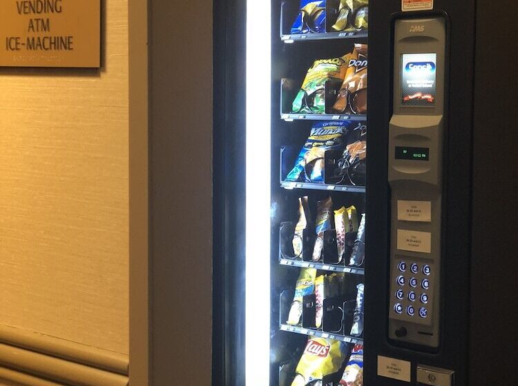 فندق Best Western Terrace Inn