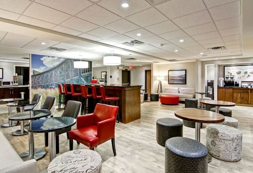 فندق Canalta Hanna