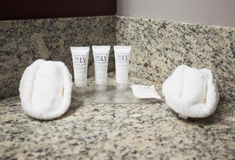 Отель Coliseum Inn