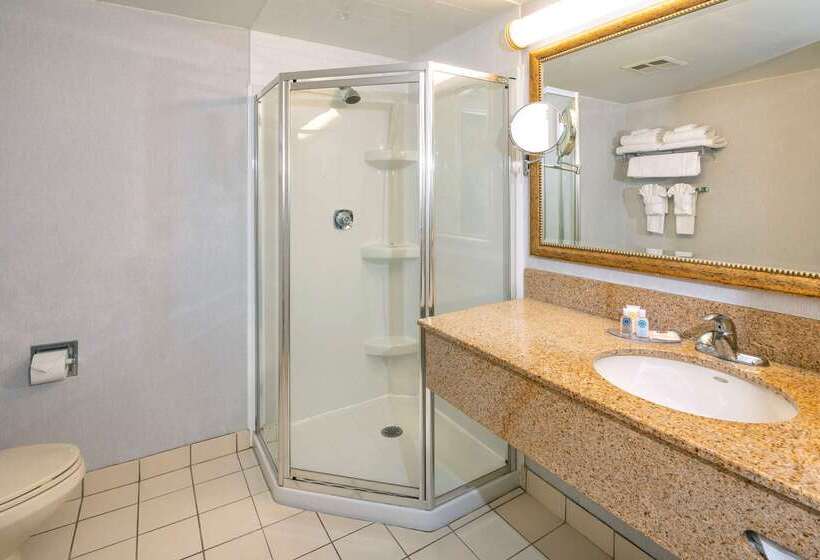 Comfort Hotel & Suites