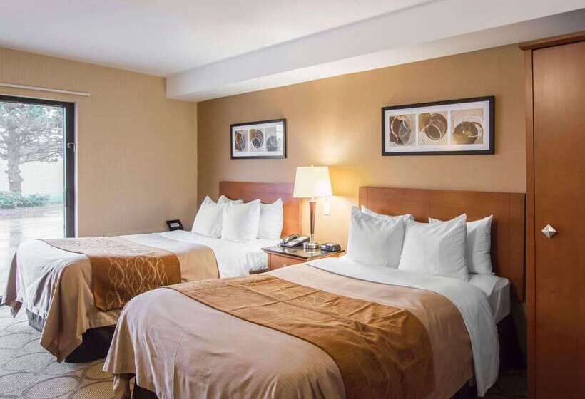 בית מלון כפרי Comfort Inn Airport East