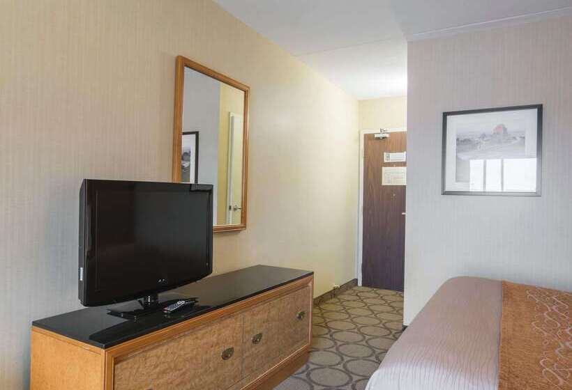 בית מלון כפרי Comfort Inn Airport East