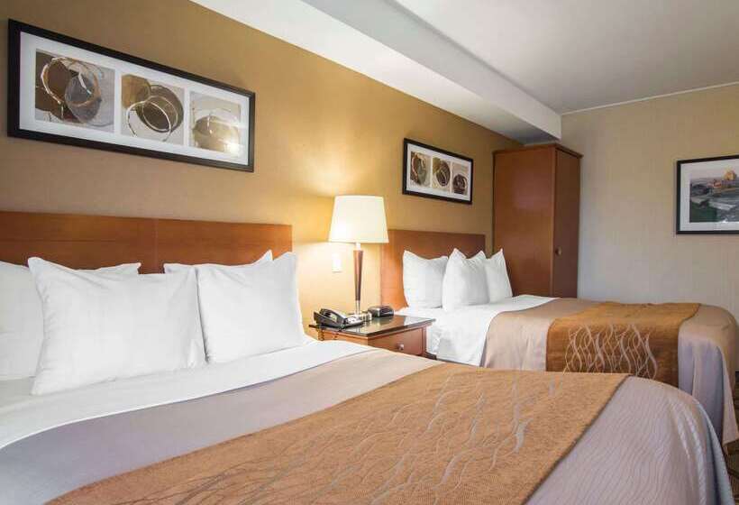 בית מלון כפרי Comfort Inn Airport East