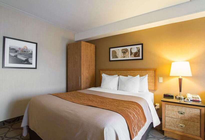 בית מלון כפרי Comfort Inn Airport East