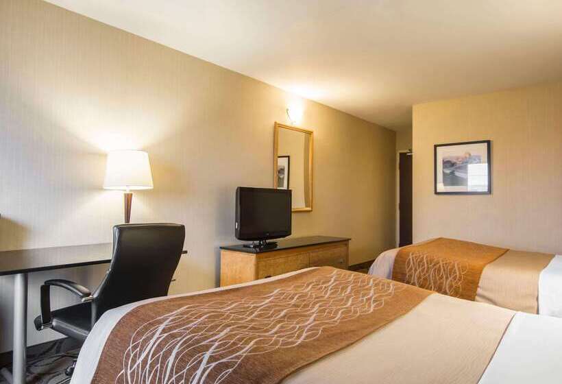 בית מלון כפרי Comfort Inn Airport East