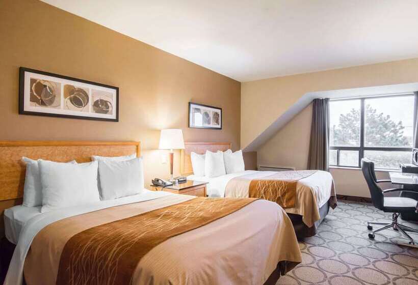 בית מלון כפרי Comfort Inn Airport East