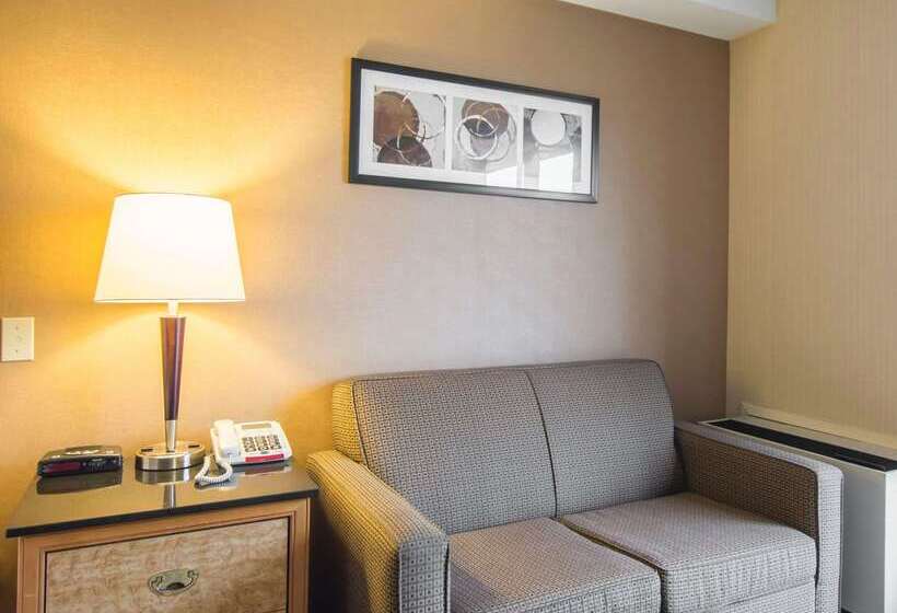 בית מלון כפרי Comfort Inn Airport East