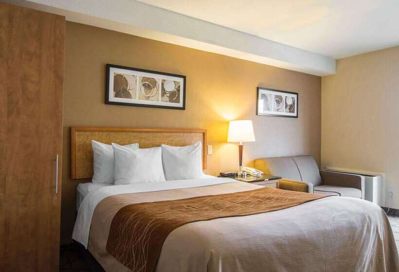 בית מלון כפרי Comfort Inn Airport East