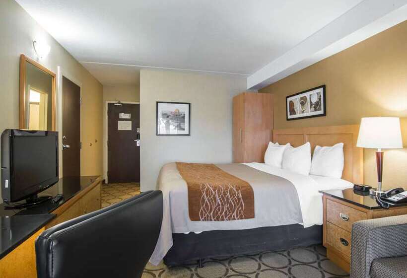 בית מלון כפרי Comfort Inn Airport East