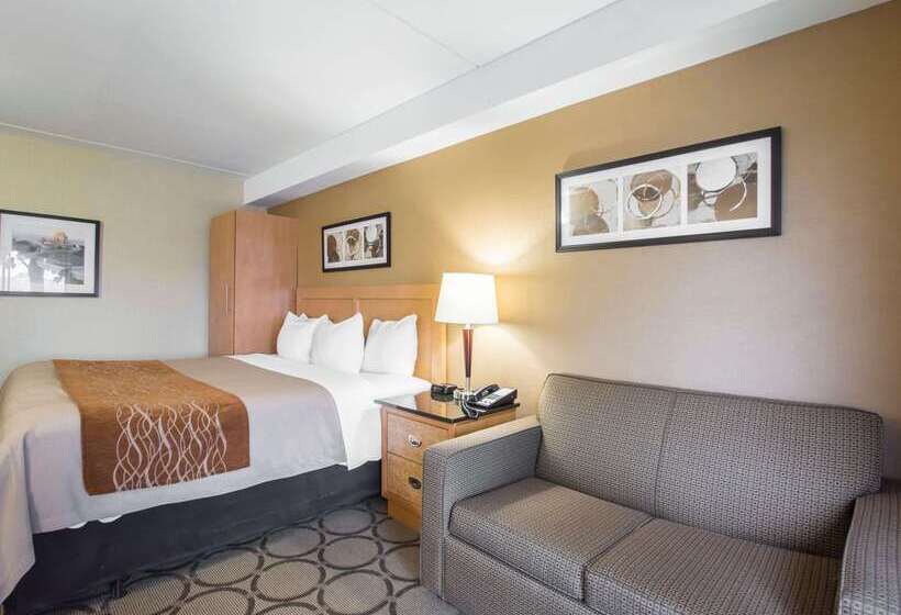 בית מלון כפרי Comfort Inn Airport East