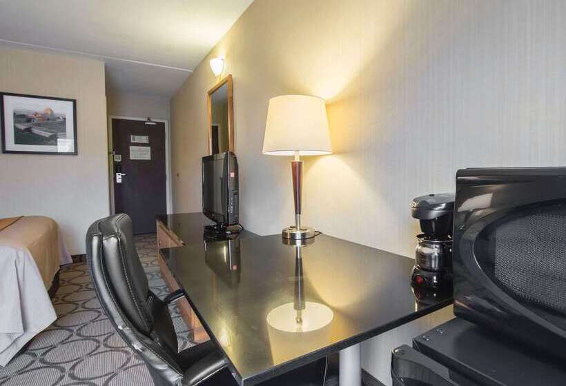 בית מלון כפרי Comfort Inn Airport East