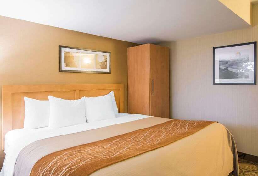 בית מלון כפרי Comfort Inn Airport East