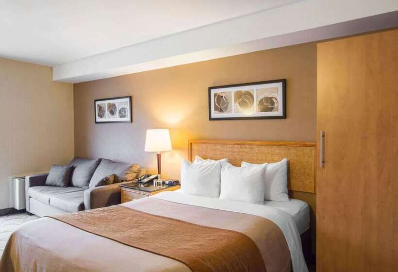 בית מלון כפרי Comfort Inn Airport East