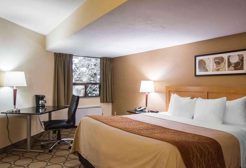 בית מלון כפרי Comfort Inn Airport East